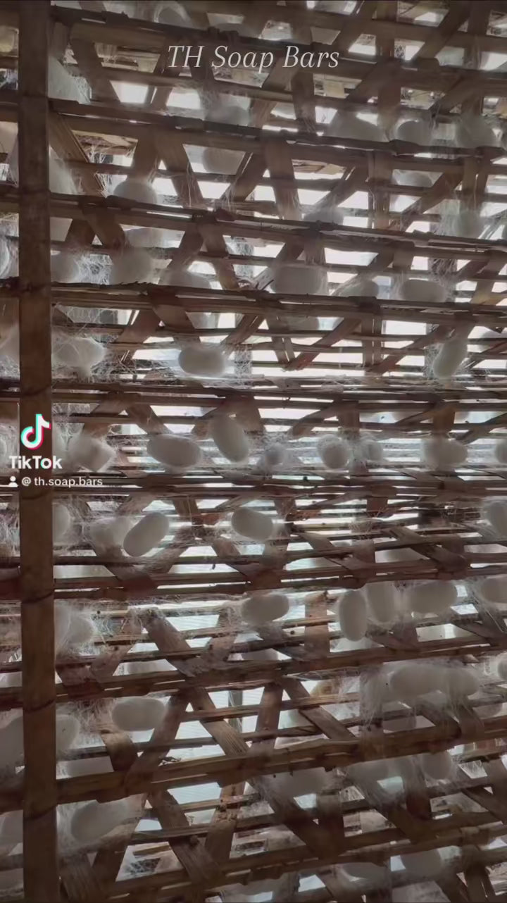 Load video: Silkworm Cocoon